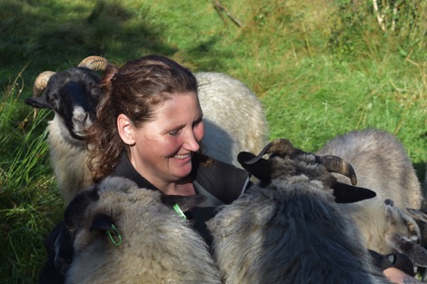 Ullstorps Stugor Anna with sheep